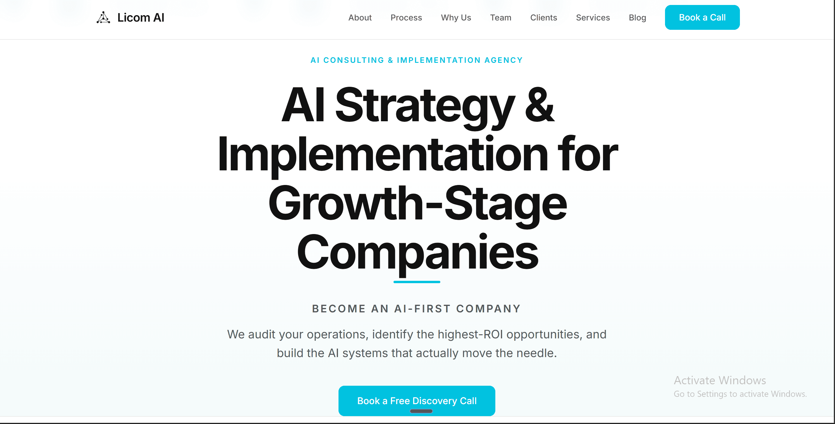 Licom AI — My Consulting Firm